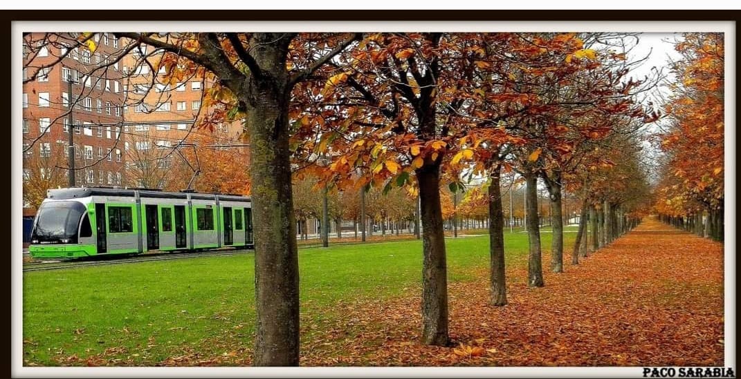 WhatsApp Image 2025-12-11 at 07.40.40