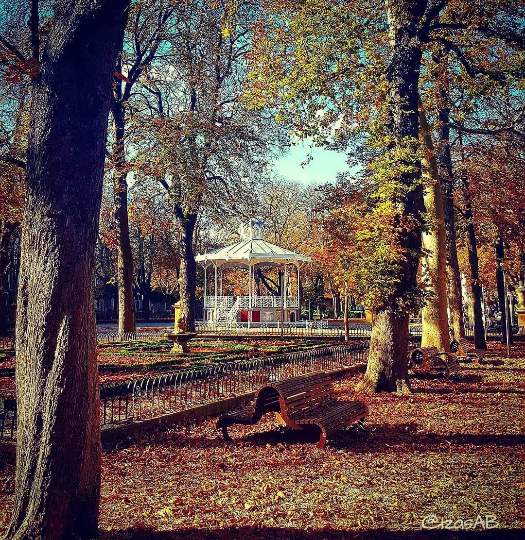 WhatsApp Image 2025-12-11 at 07.40.43 (1)