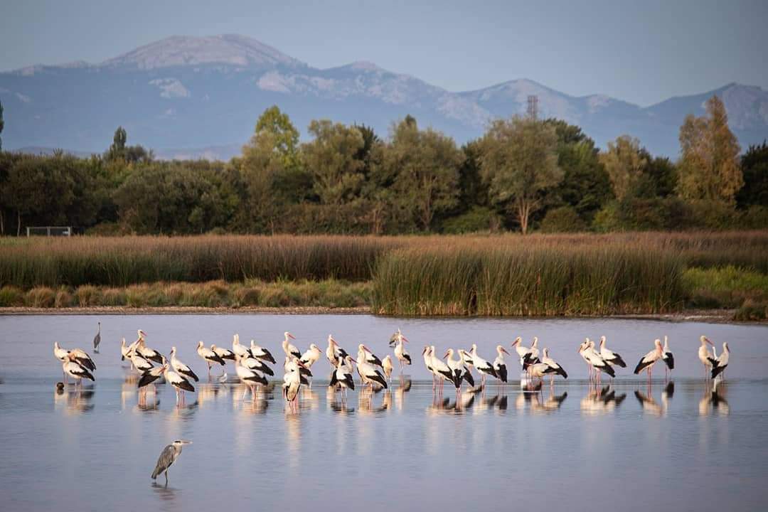 WhatsApp Image 2025-12-11 at 07.40.43 (2)